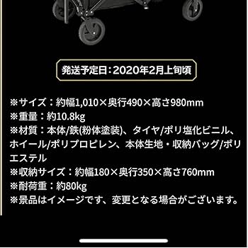 Amazon.co.jp: キャリーワゴン『THE RAMPAGE』 ローソン当選